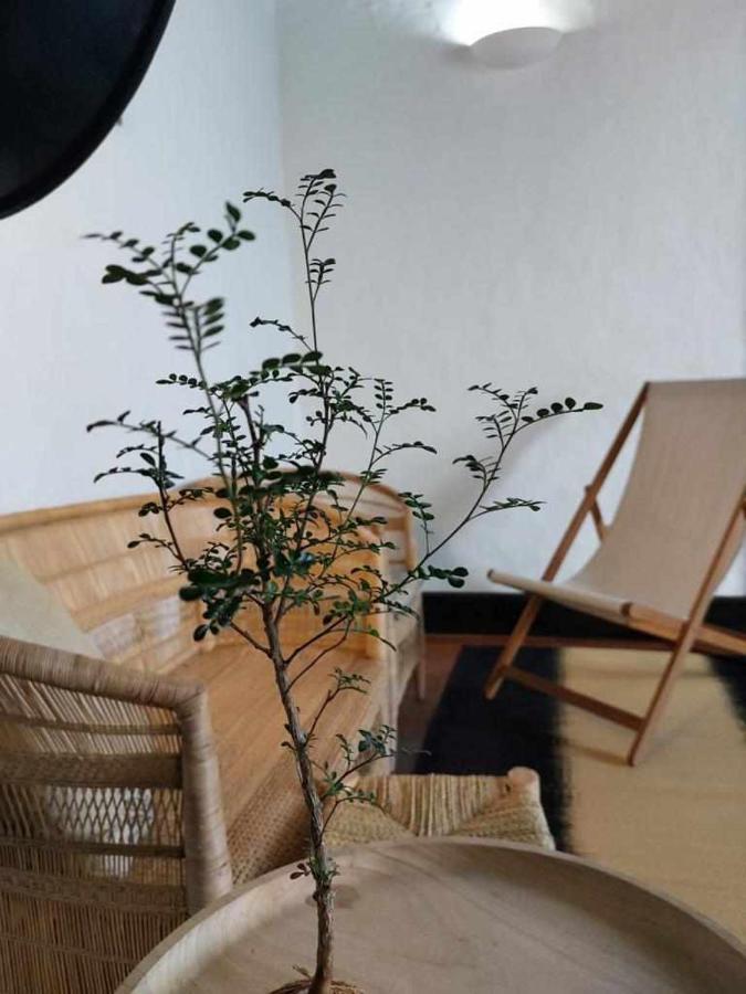 Casa Yooj Designers House In Teguise Appartement Teguise  Buitenkant foto